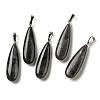 Natural Labradorite Pendants G-Q192-07P-06-1