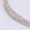 Transparent Glass Beads Strands X-GLAA-F079-B02-3