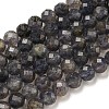 Natural Iolite Beads Strands G-A097-A14-09A-1