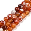 Dyed Natural Fire Crackle Agate Beads Strands G-G007-01E-1