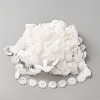 Polyester Lace Ribbon OCOR-WH0111-138B-2