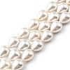 Teardrop Shell Pearl Bead Strands BSHE-L015-12x16-01-2