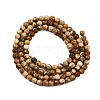 Natural Picture Jasper Beads Strands G-Z068-B02-01-3