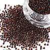 11/0 Grade A Round Glass Seed Beads SEED-N001-D-224-1