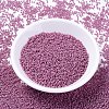 MIYUKI Delica Beads SEED-MY11-DB2137-2