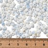 Baking Paint Glass Seed Beads X1-SEED-F006-01A-02-4