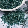 MIYUKI Delica Beads SEED-J020-DB2381-1