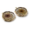 Inner Dried Flower Resin Pendants RESI-P028-02KCG-05-3