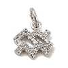 Brass Micro Pave Cubic Zirconia Charms KK-E077-02P-09-1