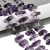 Natural Amethyst Beads Strands G-Q023-E01-01-2