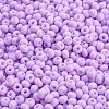 Imitation Jade Glass Seed Beads SEED-Z001-A-B05-3