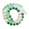 Natural Agate Dyed White Jade & Fossil Beads Strands G-Z135-B02-4