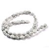 Natural Howlite Beads Strands G-M420-D04-01-3