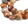 Flat Round Natural Crazy Lace Agate Beads Strands G-S110-12mm-05-3