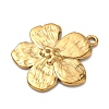 304 Stainless Steel Pendants STAS-C168-02A-G-2
