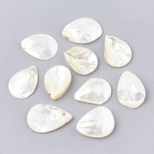 Natural White Shell Beads SHEL-T005-03