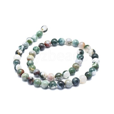 Natural Tree Agate Beads Strands G-F674-11-8mm-1