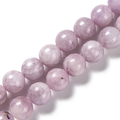 Natural Lepidolite Beads Strands G-H247-11D-1