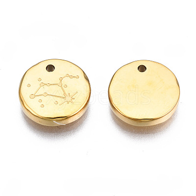 316 Surgical Stainless Steel Charms LS-STAS-S116-418H-G-1