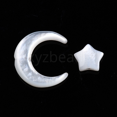 Natural White Shell Beads Sets SSHEL-N032-52A-01-1