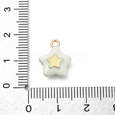 Alloy Enamel Charms ENAM-E362-08E-1