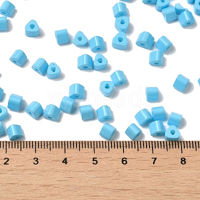 Baking Paint Glass Bead SEED-H002-K-D303-1