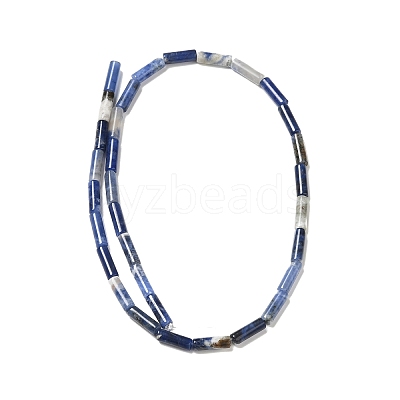 Natural Sodalite Beads Strands G-P489-02-1