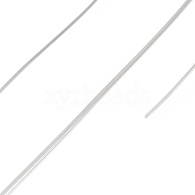 Non-Tarnish 10 Rolls 304 Stainless Steel Wire TWIR-H001-01E-P-1