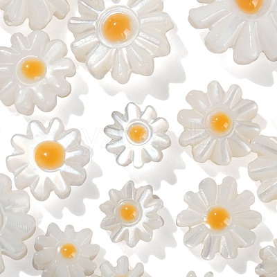 20Pcs 4 Style Natural Freshwater Shell Beads SHEL-LS0001-03-1