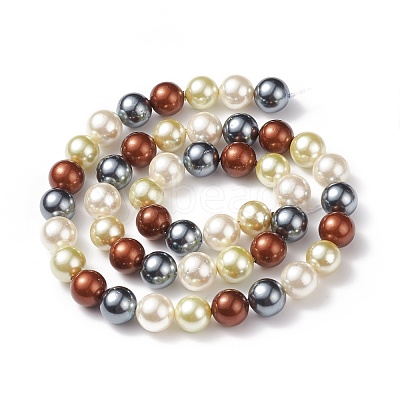 Shell Pearl Bead Strands BSHE-L017-18-1