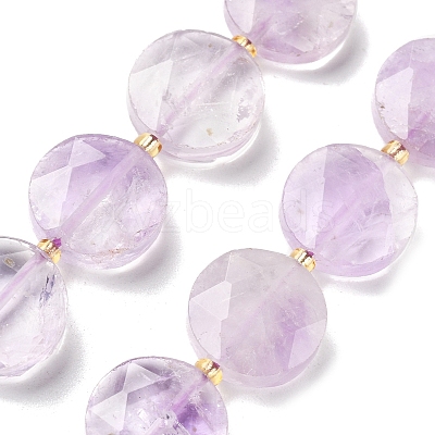 Natural Ametrine Beads Strands G-C116-A163-03-1
