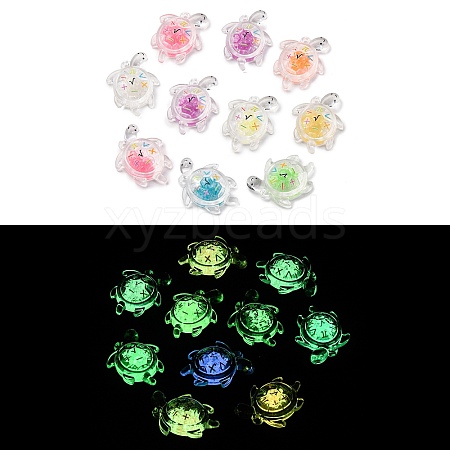 Luminous Transparent Acrylic Pendants TACR-P010-02-1