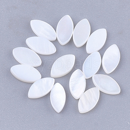 Freshwater Shell Cabochons SHEL-S274-91-1