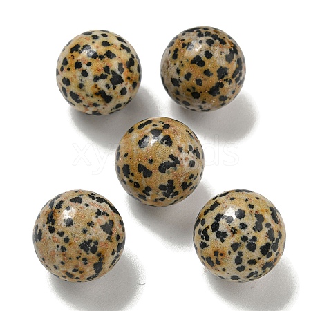 Natural Dalmatian Jasper Round Ball Figurines Statues for Home Office Desktop Decoration G-P532-02A-32-1