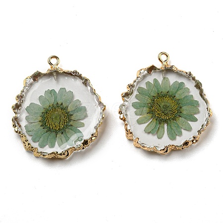 Inner Dried Flower Resin Pendants X-RESI-P028-02KCG-02-1