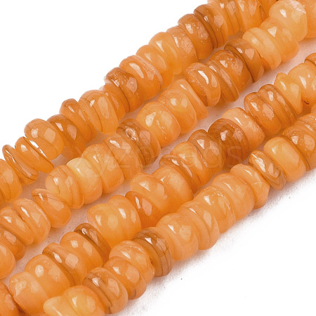 Natural Freshwater Shell Beads Strands SHEL-S278-067F-1