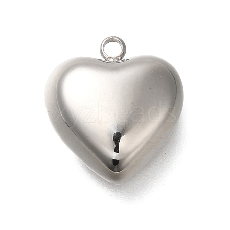 Anti-Tarnish 304 Stainless Steel Pendants STAS-H225-02A-P-1