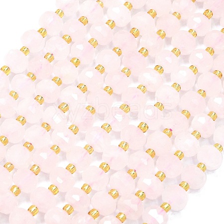 Natural Rose Quartz Beads Strands G-K389-E34-01-1