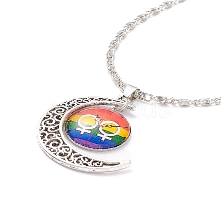 Rainbow Pride Necklace NJEW-F291-01G-1