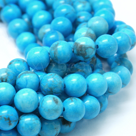 Natural Howlite Beads G-G904-8mm-01-1