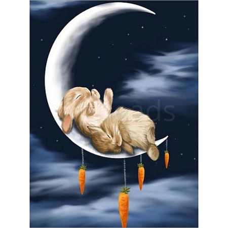 DIY Rectangle Rabbit Theme Diamond Painting Kits DIAM-PW0004-020-1