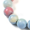 Natural Rainbow Alashan Agate Beads Strands G-G806-04-10mm-01-3