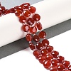 Natural Carnelian(Dyed & Heated) Beads Strands G-N342-19-2