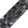 Natural Larvikite Beads Strands G-B129-A22-01-1