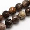 Natural Black Sunstone Round Bead Strands G-O039-20-8mm-2