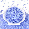 Glass Seed Beads SEED-M011-02A-19-2