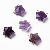 Natural Amethyst Charms G-H241-04D-1