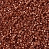 MIYUKI Delica Beads SEED-J020-DB2178-2