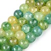 Baking Paint Crackle Glass Beads Strands GLAA-Q106-03A-20-1