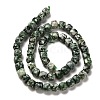 Natural Green Spot Jasper Beads Strands G-H078-C27-01-3